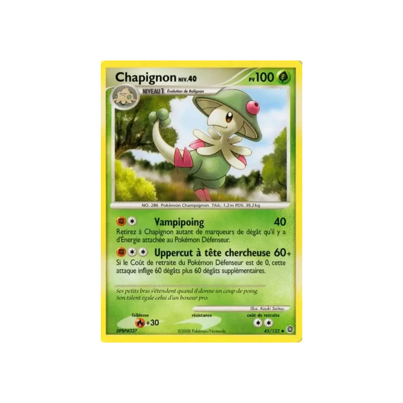 Chapignon SW - 045/132