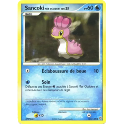 Sancoki Mer Occident SW - 107/132