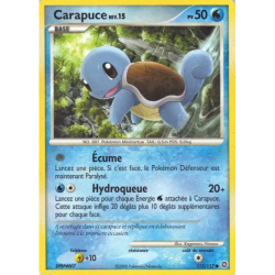 Carapuce SW - 112/132