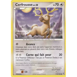 Cerfrousse SW - 113/132