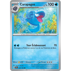 Carapagos SCR - 037/142