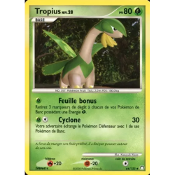 Tropius MT - 064/123