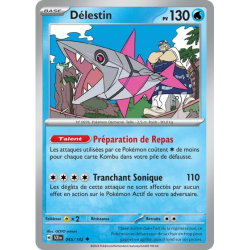 Délestin SCR - 045/142