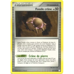 Fossile crâne MT - 117/123