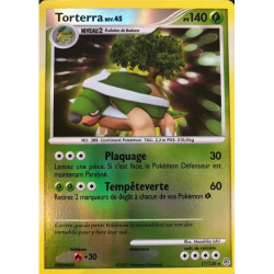Torterra DP - 017/130