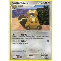 Castorno DP - 020/130