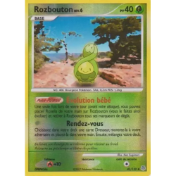 Rozbouton DP - 043/130