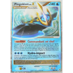 Pingoléon NIV.X DP - 120/130