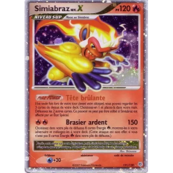 Simiabraz NIV.X DP - 121/130