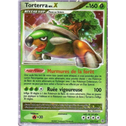 Torterra NIV.X DP - 122/130