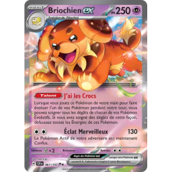 Briochien SCR - 067/142