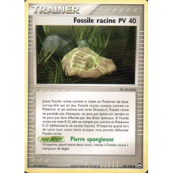 Fossile racine PK - 086/108