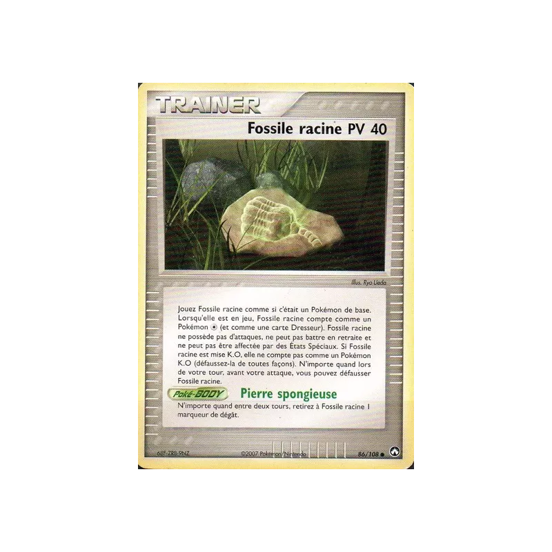 Fossile racine PK - 086/108