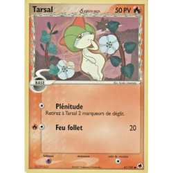 Tarsal ? DF - 061/101