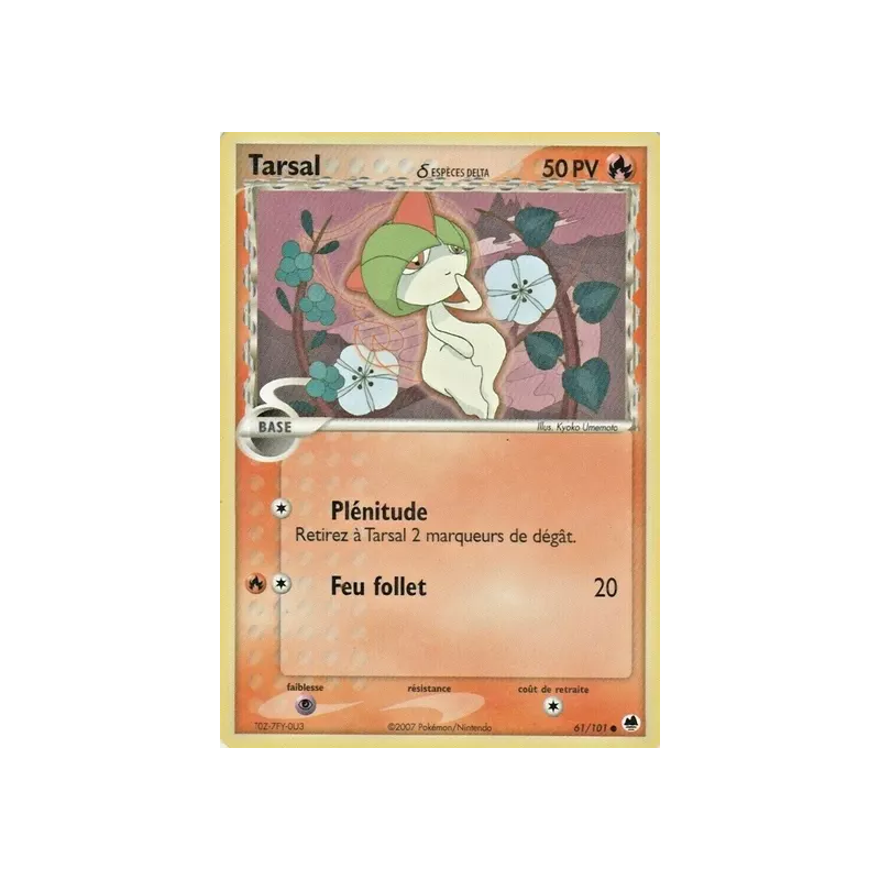 Tarsal ? DF - 061/101