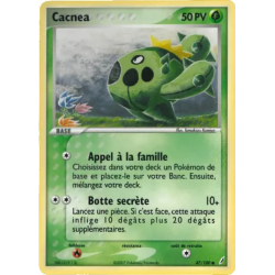 Cacnea CG - 047/100