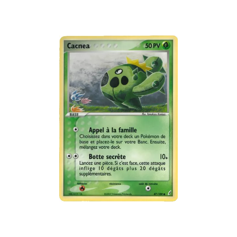Cacnea CG - 047/100
