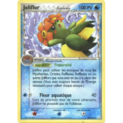 Joliflor ? HP - 019/110