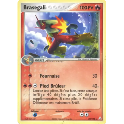Brasegali HP - 020/110