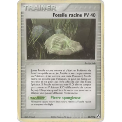 Fossile racine LM - 80/92