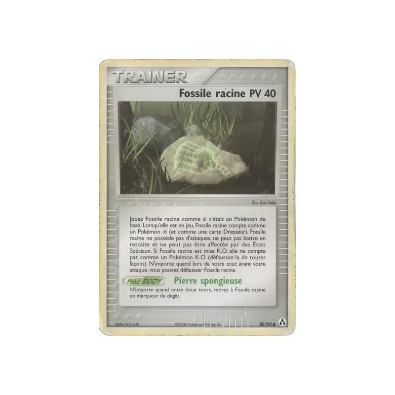 Fossile racine LM - 80/92