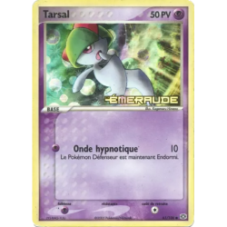 Tarsal EM - 061/106