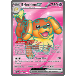 Briochien SCR - 160/142