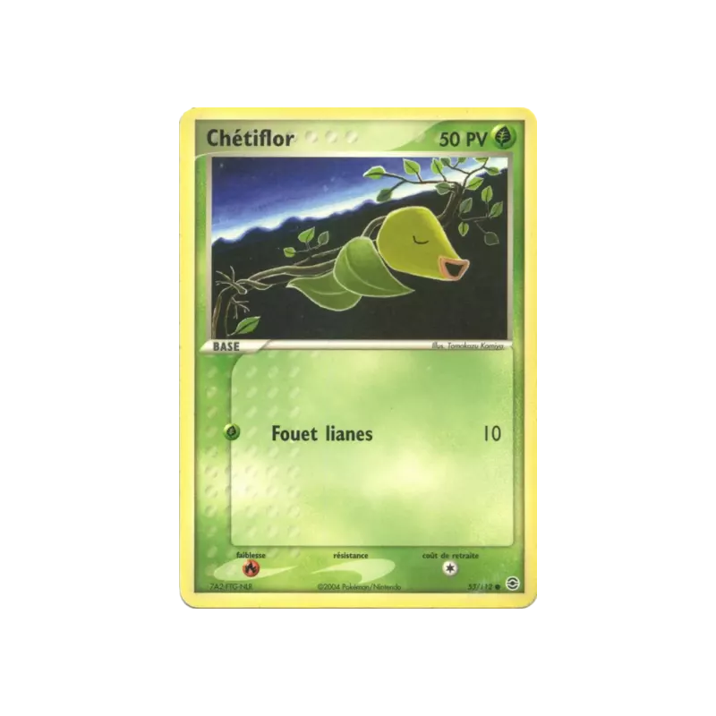 Chétiflor RG - 053/112