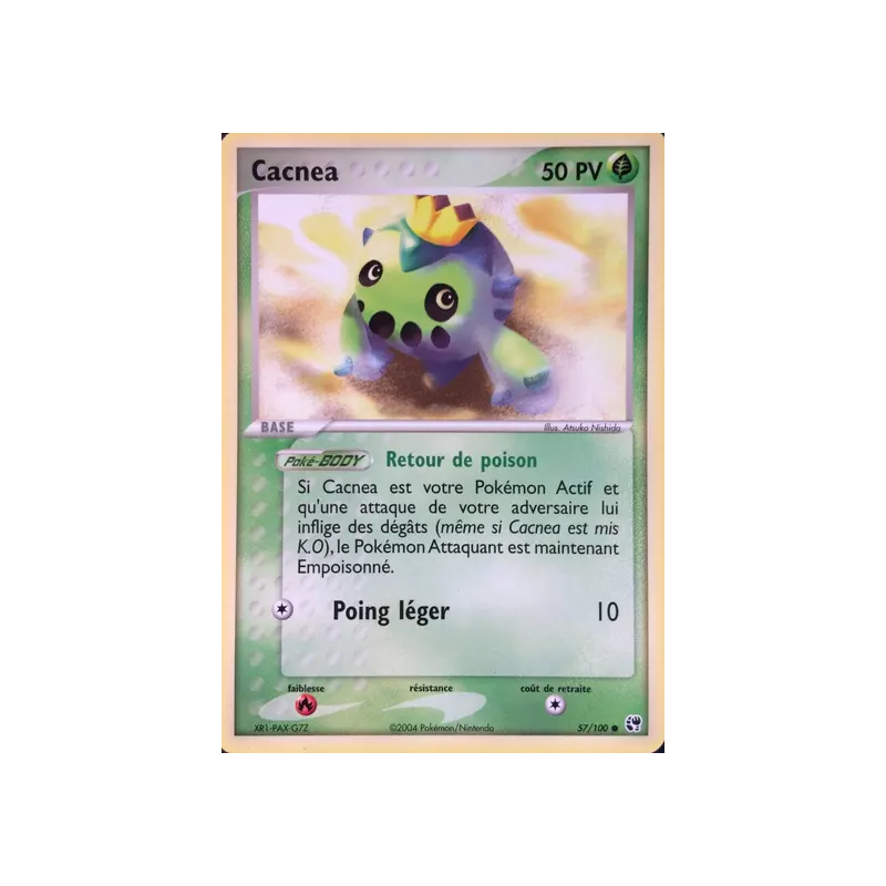 Cacnea SS - 057/100