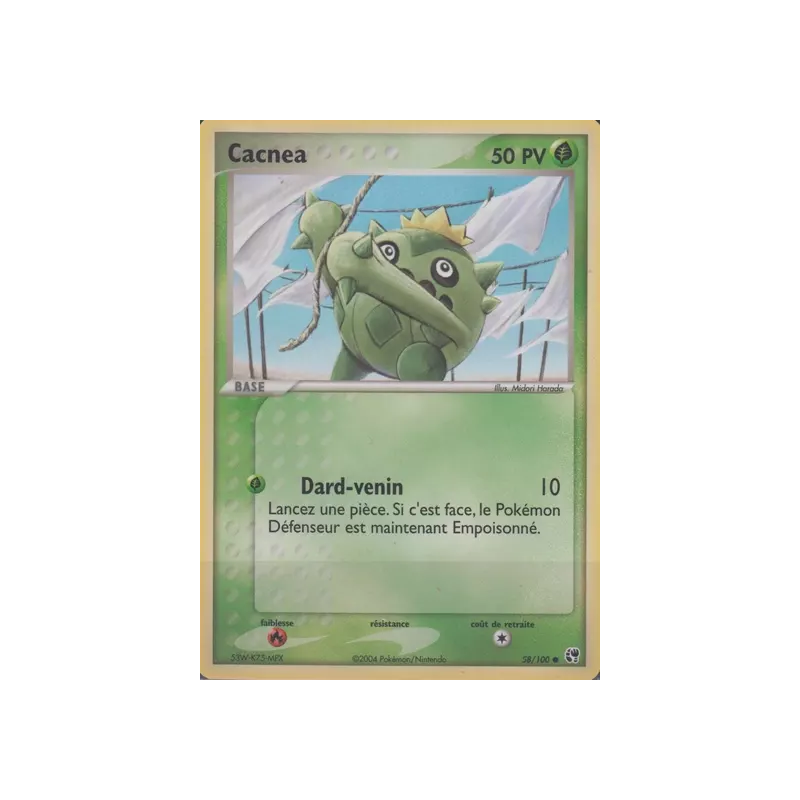 Cacnea SS - 058/100