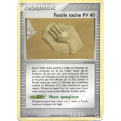 Fossile racine SS - 092/100