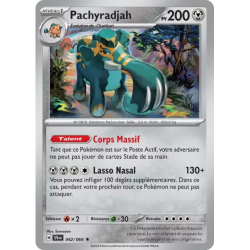 Pachyradjah SFA - 042/064