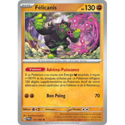 Félicanis TWM - 111/167
