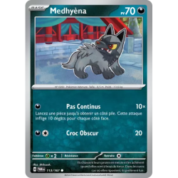 Medhyèna TWM - 113/167