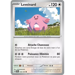 Leveinard TWM - 133/167
