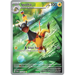 Iguolta TWM - 177/167