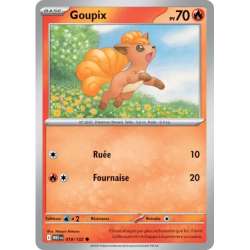 Goupix MEG - 019/132