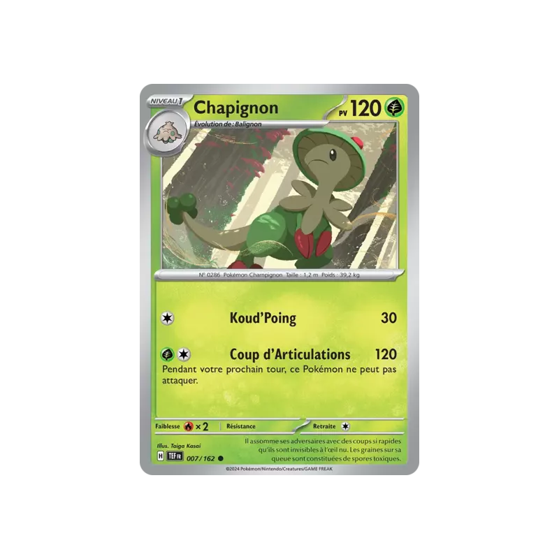 Chapignon TEF - 007/162