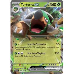 Torterra EX TEF - 012/162