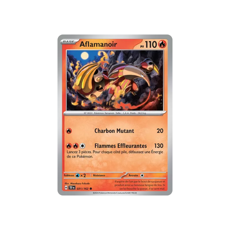 Aflamanoir TEF - 031/162