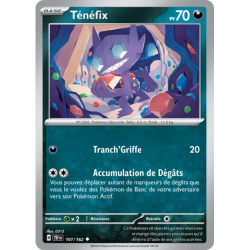 Ténéfix TEF - 107/162