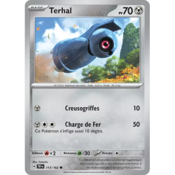 Terhal TEF - 113/162