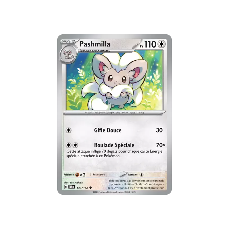 Pashmilla TEF - 137/162