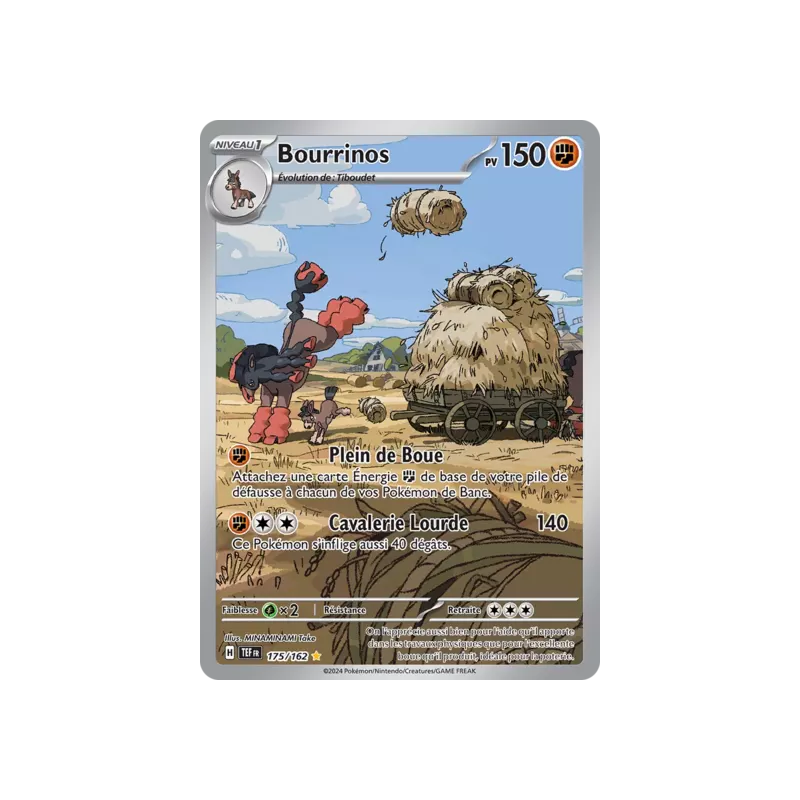 Bourrinos TEF - 175/162