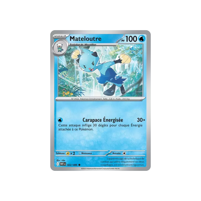 Mateloutre WHT - 022/086