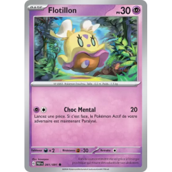 Flotillon PAF - 041/091