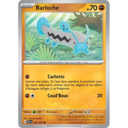 Barloche PAF - 050/091