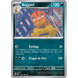 Baggaïd PAF - 061/091