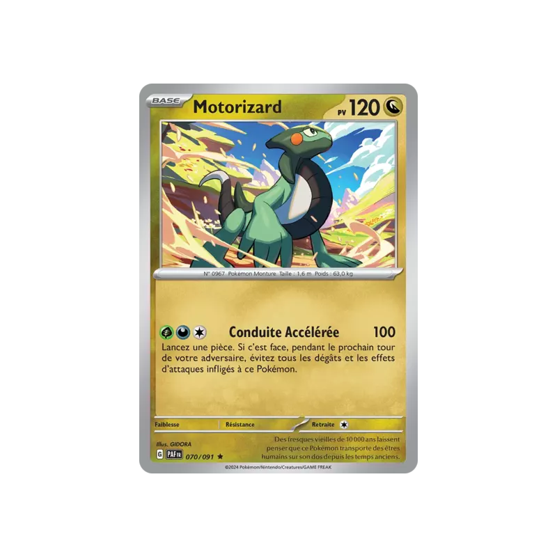 Motorizard PAF - 070/091