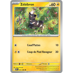 Zébibron WHT - 031/086